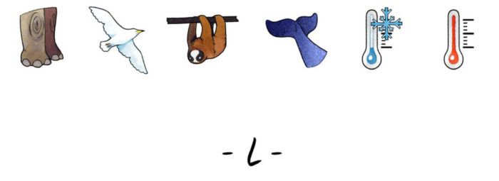 Part-14-1024x374-700x255